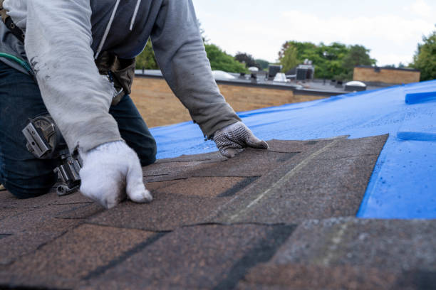 Best Roof Maintenance Services  in Colony Rk, PA