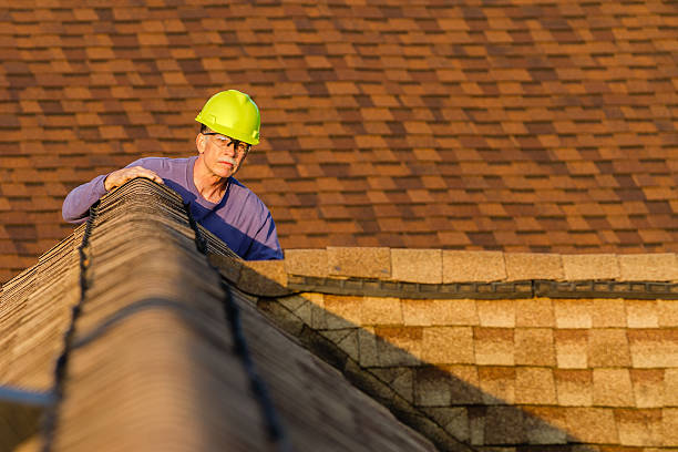 Best Roof Inspection Near Me  in Colony Rk, PA